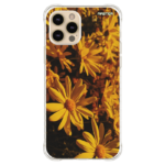 Capa ramo de girassol